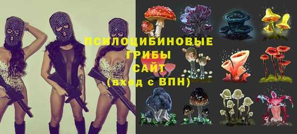 кокс Надым